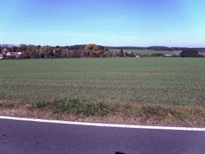 RTF Saarmund Jens 85